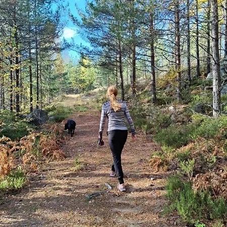 Feriehus Cozy Cabin In Vradal- Near Countless Activities *