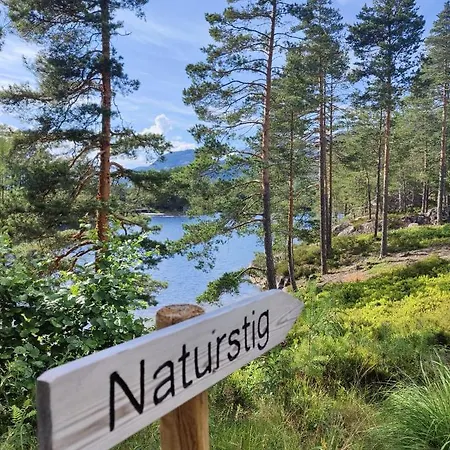 Cozy Cabin In Vradal- Near Countless Activities * Eidstod